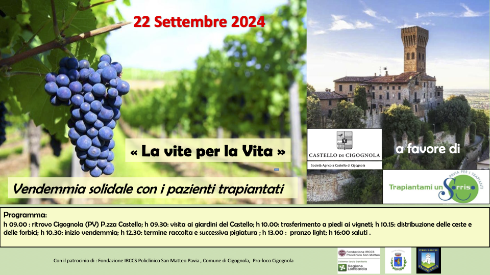 Vendemmia solidale con i pazienti trapiantati